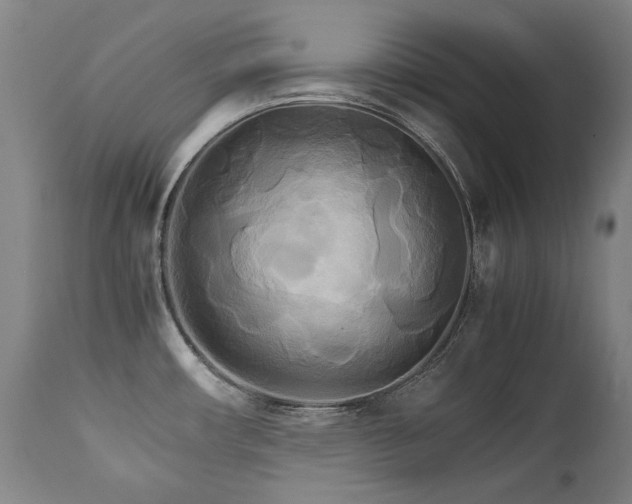 X0000111231482200907021347