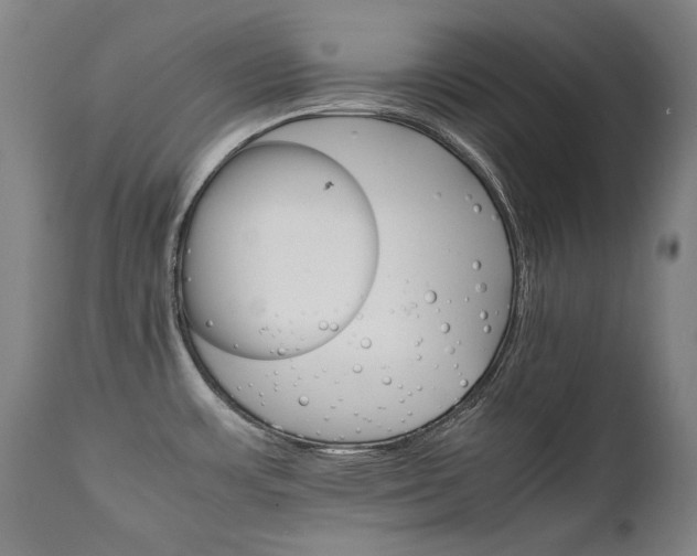 X0000111231483200907021347