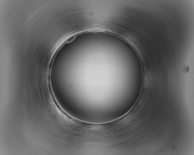 X0000111231484200907021347