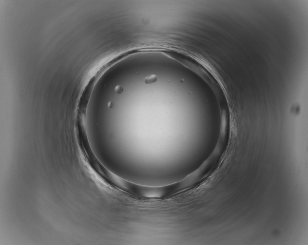 X0000111231485200907021347