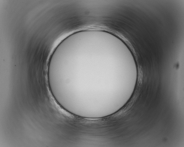 X0000111231486200907021347