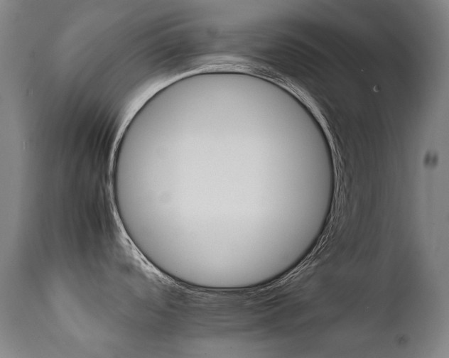 X0000111231488200907021347