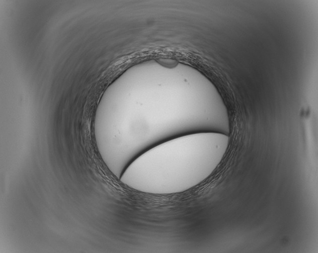 X0000111231489200907021346