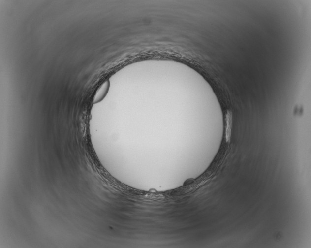 X0000111231491200907021346