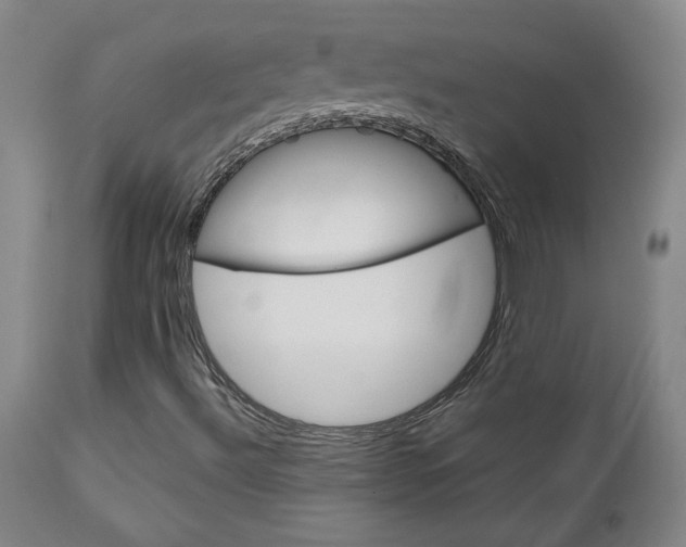 X0000111231492200907021346