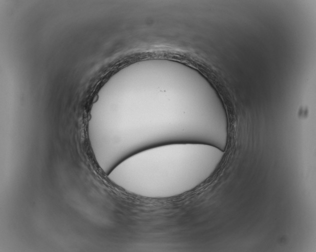 X0000111231493200907021346