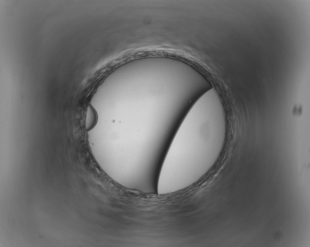 X0000111231494200907021346
