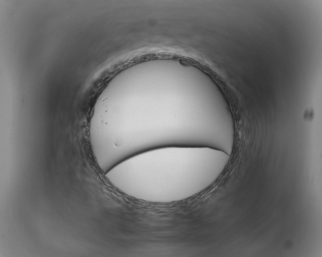 X0000111231495200907021346
