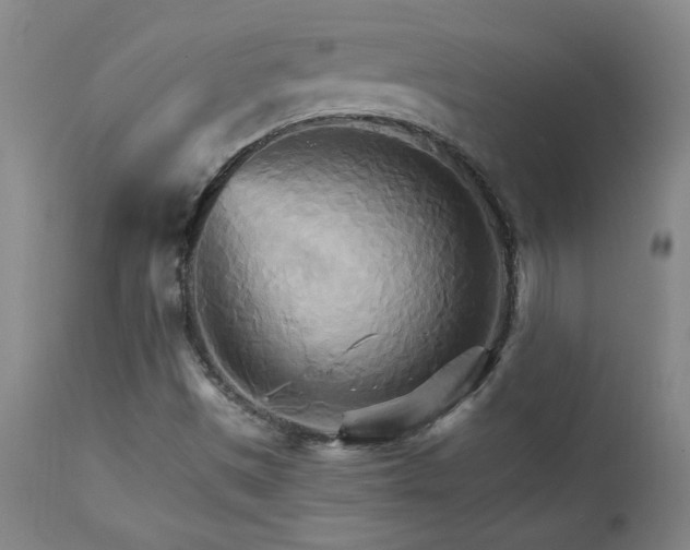 X0000111231497200907021346