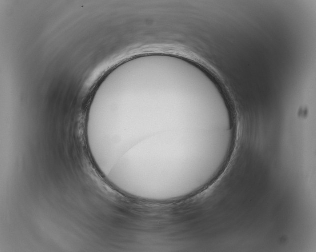 X0000111231498200907021346