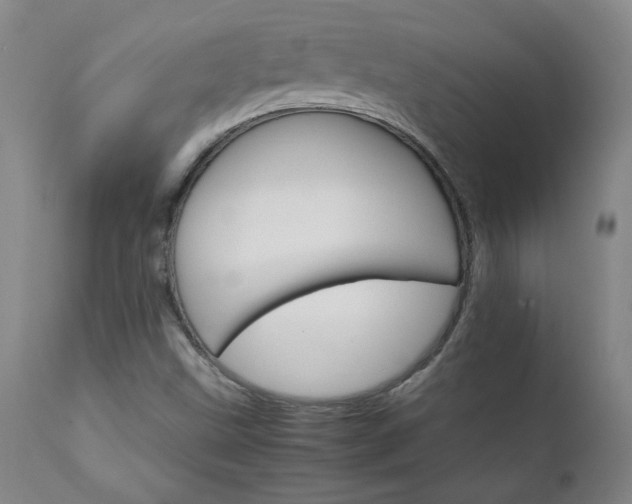 X0000111231499200907021346