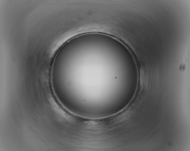 X0000111231500200907021346