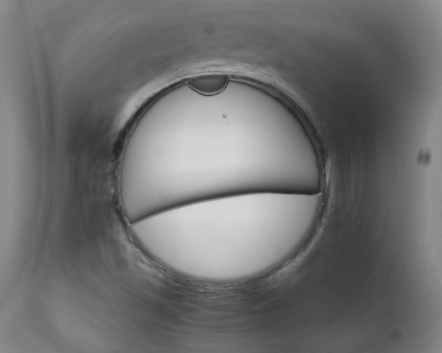 X0000111231501200907021346