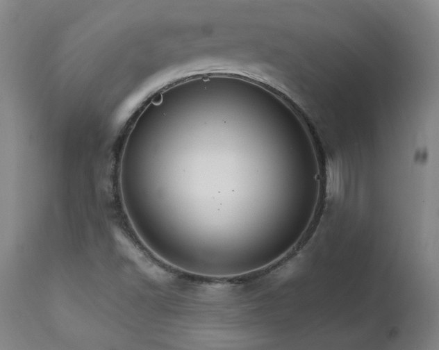 X0000111231502200907021346