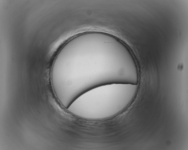 X0000111231503200907021346