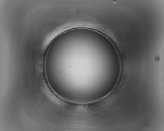 X0000111231504200907021347