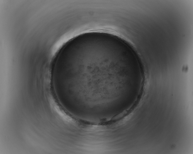 X0000111231506200907021347
