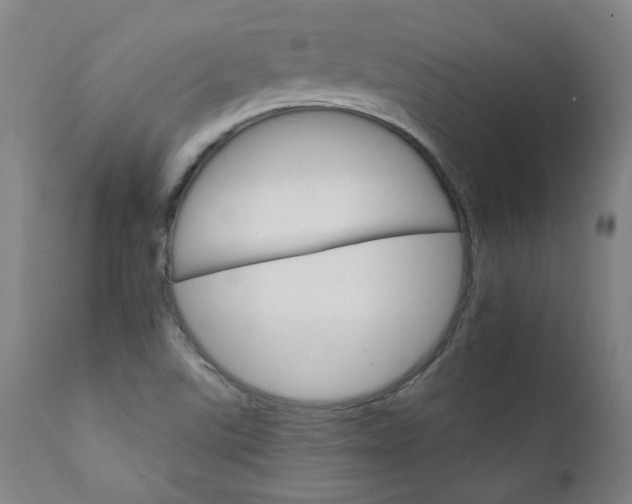 X0000111231507200907021347