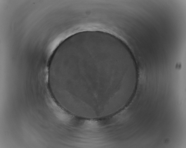 X0000111231509200907021347