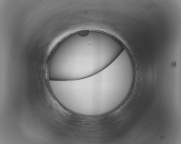 X0000111231510200907021347