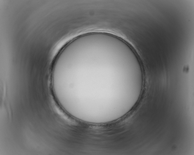 X0000111231511200907021347