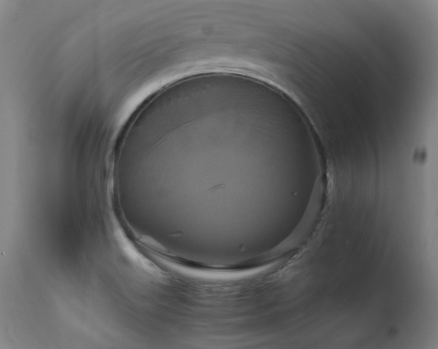 X0000111231515200907021347