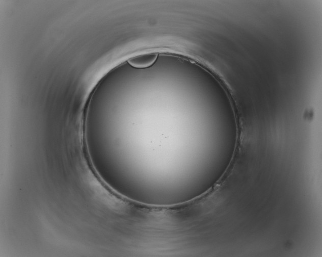 X0000111231516200907021347