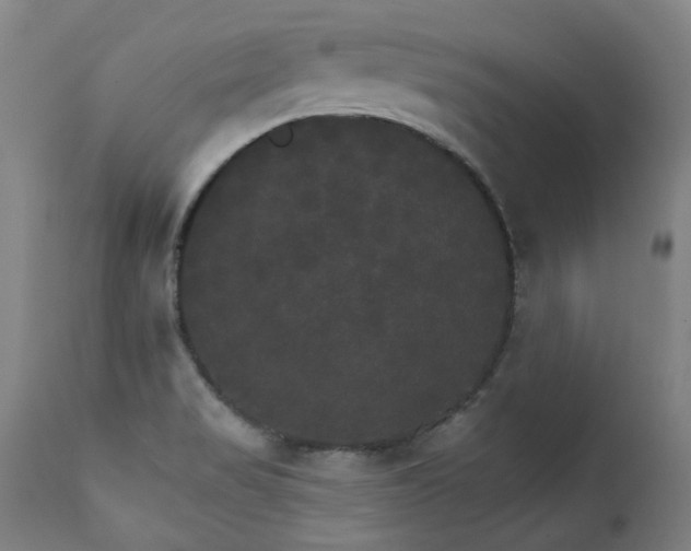 X0000111231517200907021347