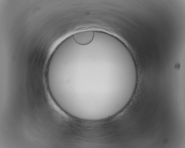 X0000111231518200907021347