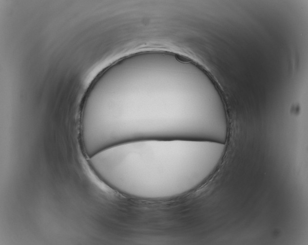X0000111231519200907021347