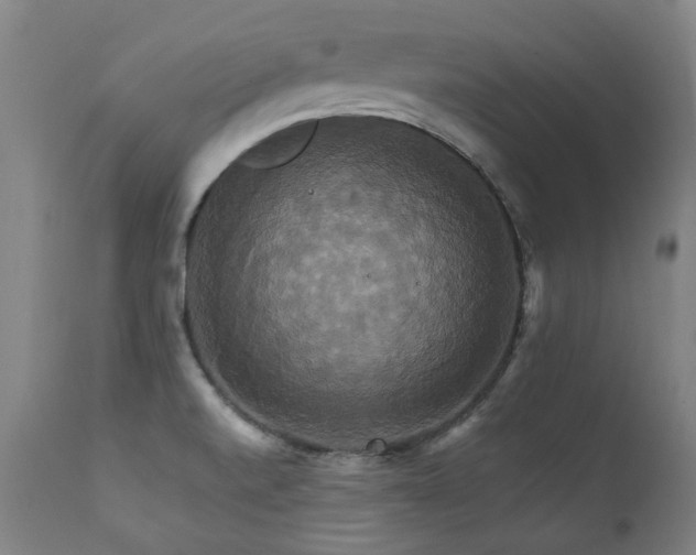 X0000111231520200907021347