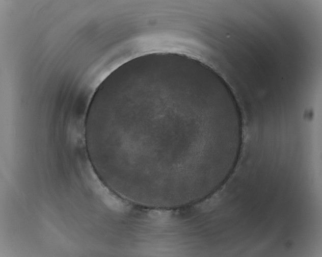 X0000111231521200907021347