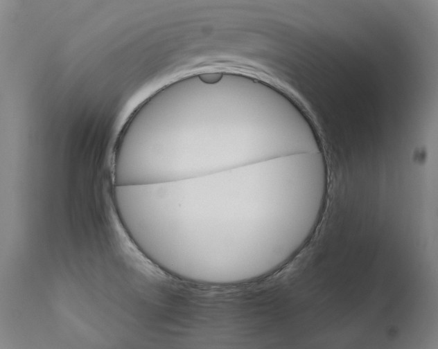 X0000111231522200907021347