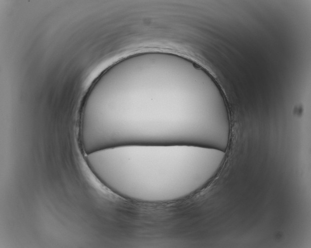 X0000111231523200907021347