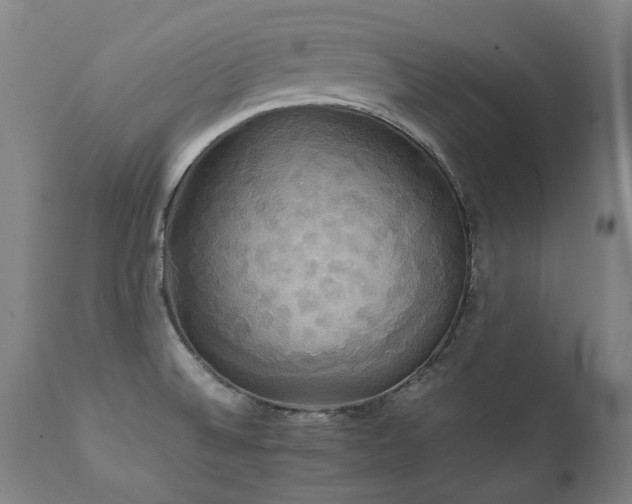X0000111231524200907021347