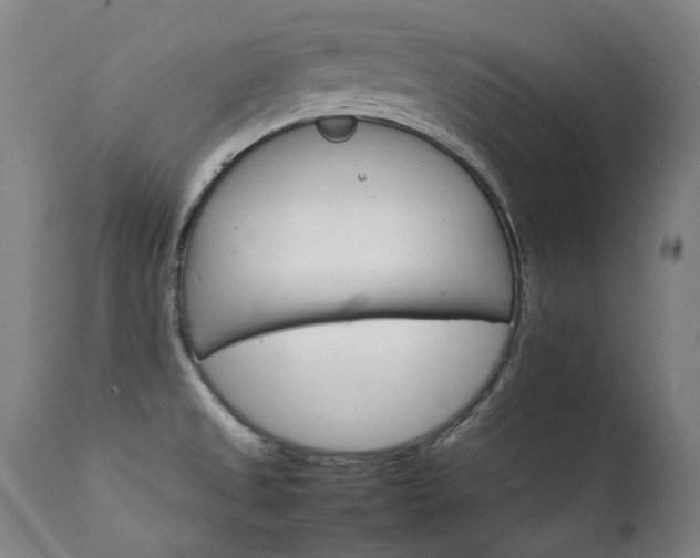 X0000111231525200907021347