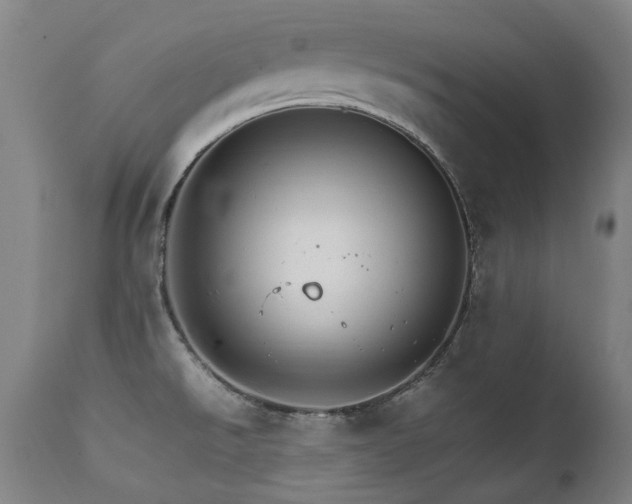 X0000111231526200907021347