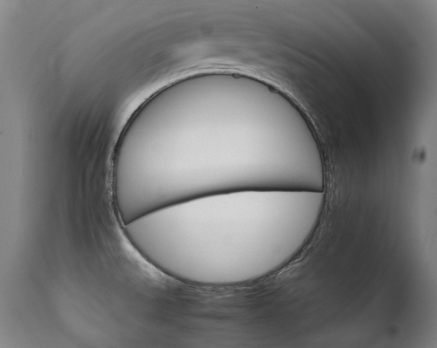 X0000111231527200907021347