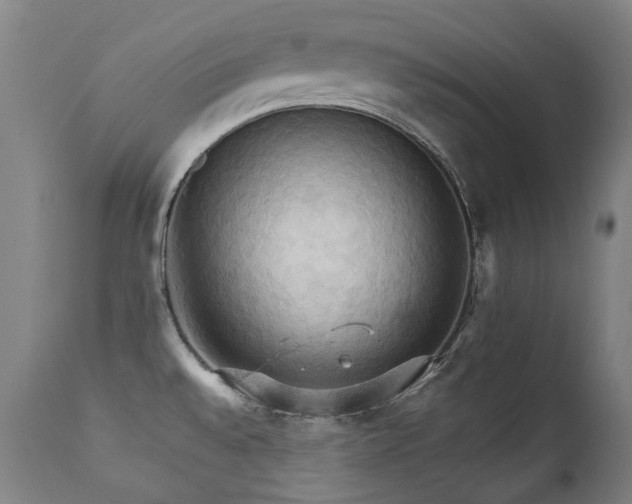 X0000111231528200907021347