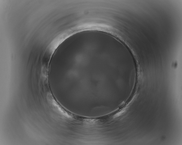 X0000111231529200907021347