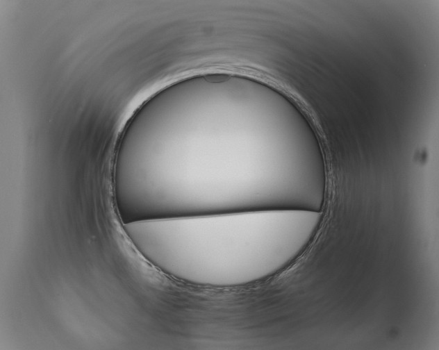 X0000111231530200907021347