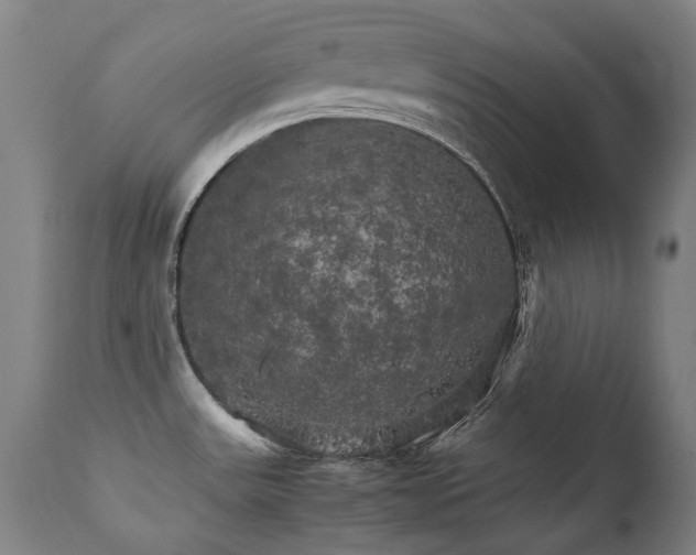X0000111231531200907021347