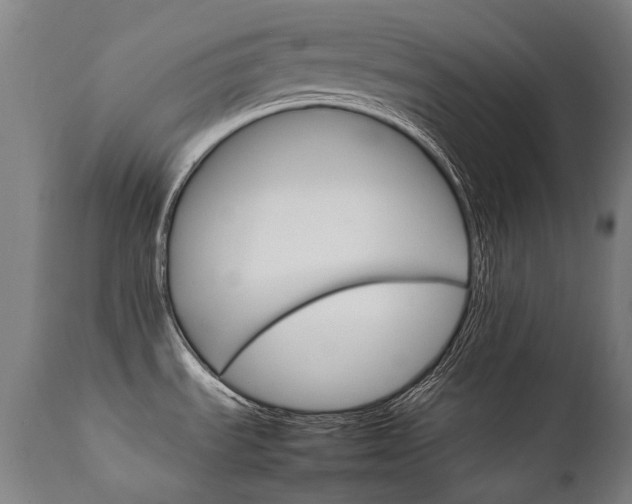 X0000111231535200907021347
