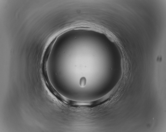 X0000111231536200907021347