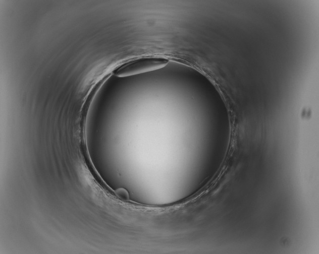 X0000111230002200907091346