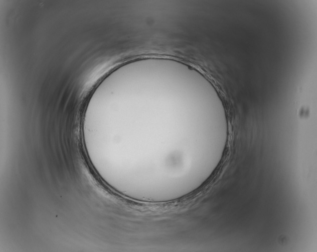 X0000111230005200907091346