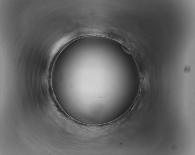 X0000111230006200907091346