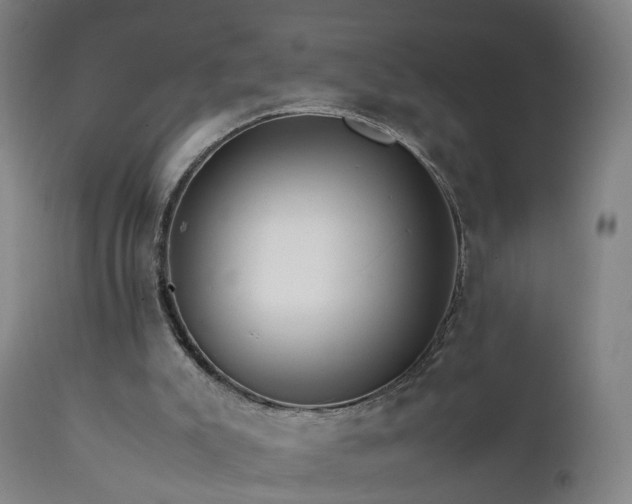 X0000111230007200907091346