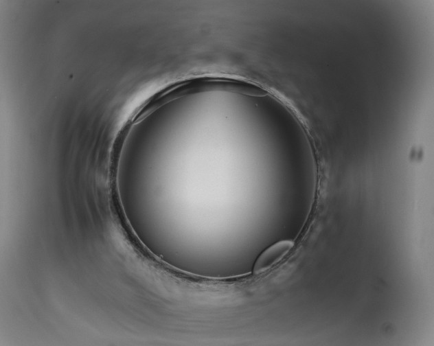 X0000111230008200907091346