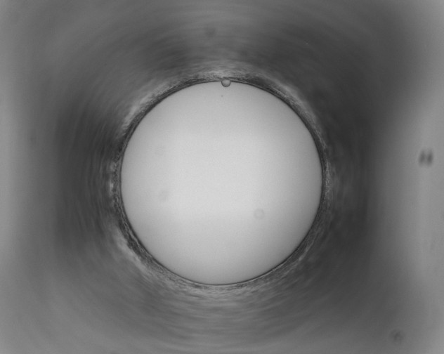 X0000111230010200907091346